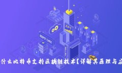 为什么比特币支持区块链技术？详解其原理与应