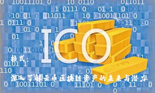 格式：

深入了解云币区块链资产的未来与潜力