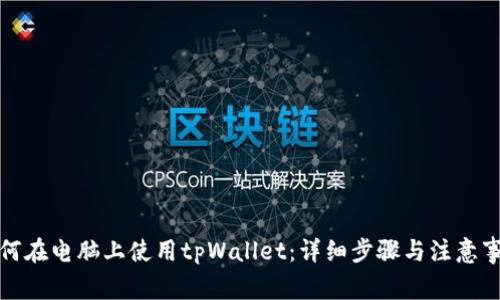 如何在电脑上使用tpWallet：详细步骤与注意事项