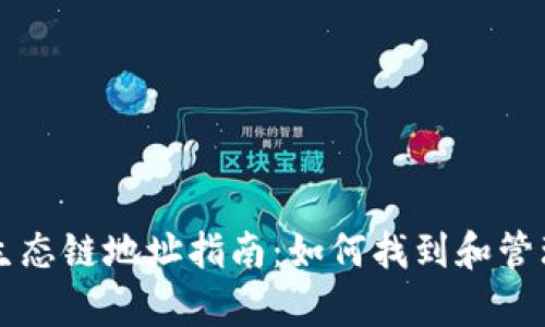 tpWallet货币生态链地址指南：如何找到和管理你的数字资产