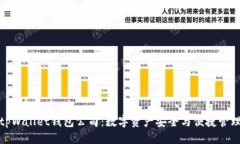 优质  全面解析tpWallet钱包公司：数字资产安全与