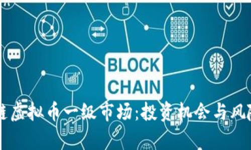 区块链虚拟币一级市场：投资机会与风险分析