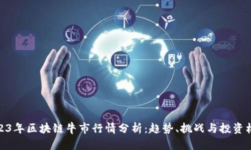 2023年区块链牛市行情分析：趋势、挑战与投资机遇