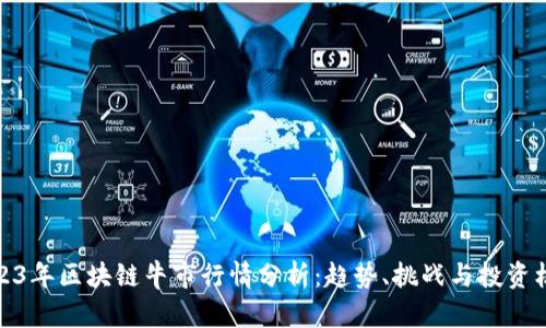 2023年区块链牛市行情分析：趋势、挑战与投资机遇