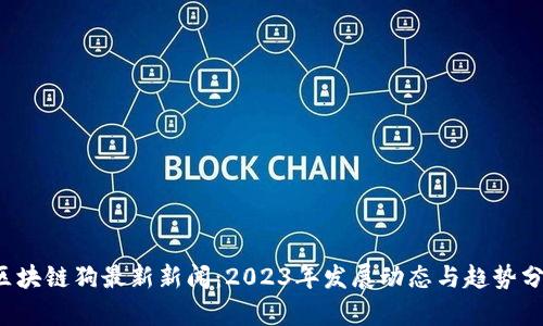  区块链狗最新新闻：2023年发展动态与趋势分析