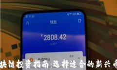 区块链投资指南：选择适合的新兴币种