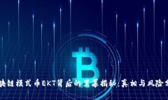 区块链模式币EKT背后的黑幕揭秘：真相与风险分