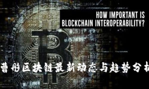 曹彤区块链最新动态与趋势分析