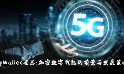 tpWallet老总：加密数字钱包的前景与发展策略