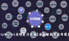 tpWallet马蹄是什么链?全面解析与应用前景