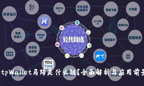 tpWallet马蹄是什么链?全面解析与应用前景