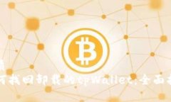 优质如何找回卸载的tpWallet:全面指南