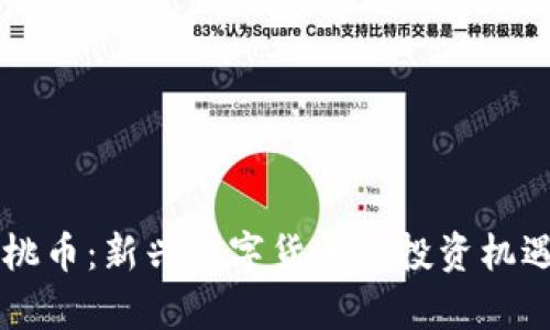 区块链小蜜桃币:新兴数字货币的投资机遇与前景分析