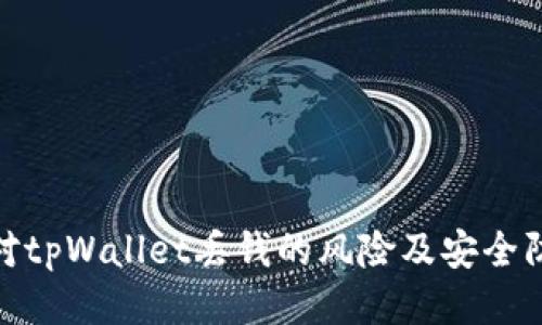 如何应对tpWallet丢钱的风险及安全防护措施