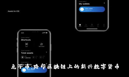 兔子币：路印区块链上的新兴数字货币