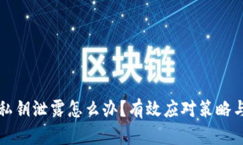 tpWallet私钥泄露怎么办?有效应对策略与风险管控