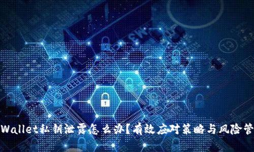 tpWallet私钥泄露怎么办?有效应对策略与风险管控