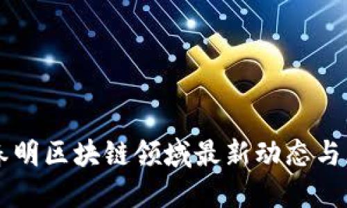 刘春明区块链领域最新动态与展望