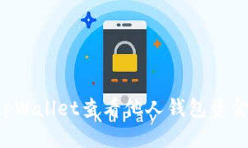 如何使用tpWallet查看他人钱包资金:全面指南