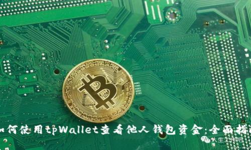如何使用tpWallet查看他人钱包资金:全面指南