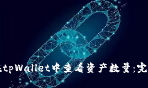 如何在tpWallet中查看资产数量:完整指南
