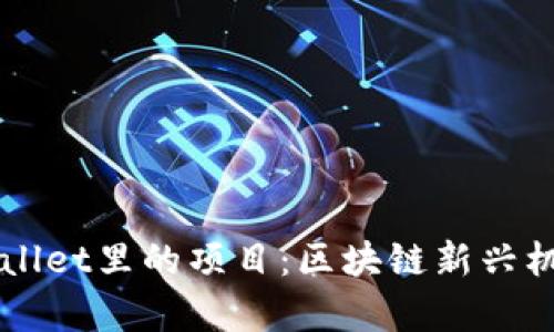 深入了解tpWallet里的项目:区块链新兴机会与投资指南