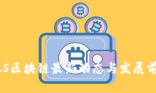 海南BAS区块链最新动态与发展前景分析