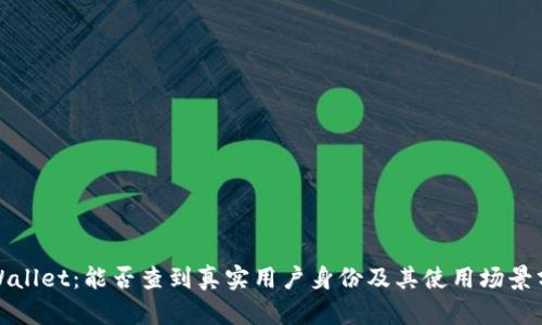 tpWallet:能否查到真实用户身份及其使用场景分析