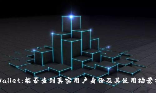 tpWallet:能否查到真实用户身份及其使用场景分析
