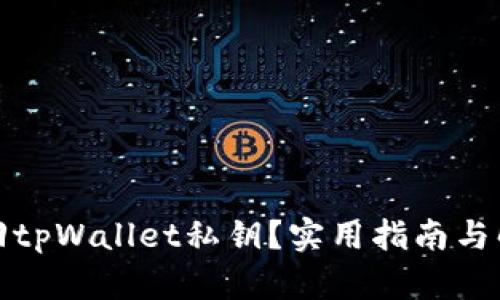 如何找回tpWallet私钥？实用指南与解决方案