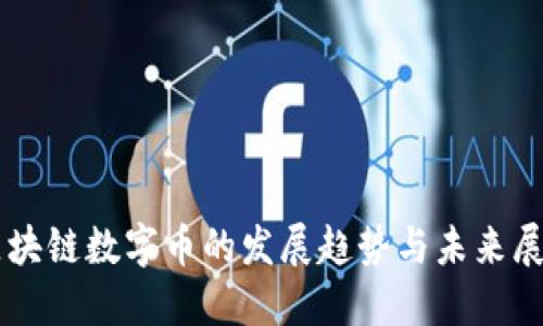 区块链数字币的发展趋势与未来展望