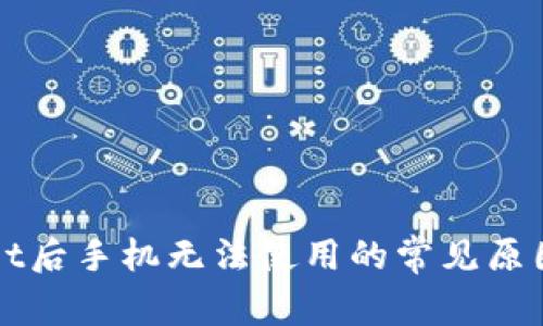 下载tpWallet后手机无法使用的常见原因和解决方案