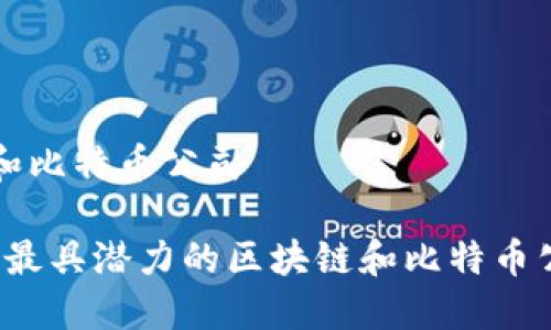 区块链和比特币公司

2023年最具潜力的区块链和比特币公司推荐