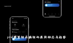 pre普莱链区块链的最新动态与趋势