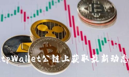 如何在tpWallet公链上获取最新动态与信息