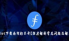 tpWallet下载为何打不开？深度解析常见问题及解决