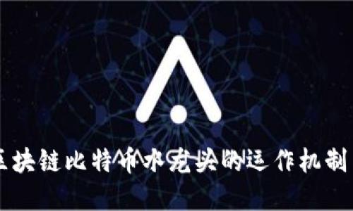 了解区块链比特币水龙头的运作机制与价值