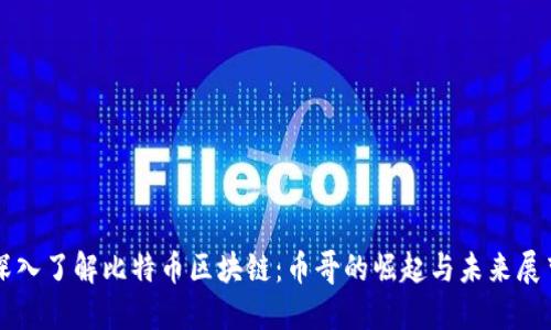 深入了解比特币区块链：币哥的崛起与未来展望