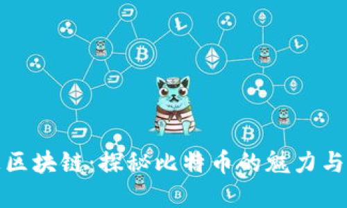 暴走区块链：探秘比特币的魅力与挑战