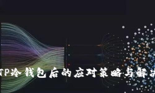 丢失TP冷钱包后的应对策略与解决方案