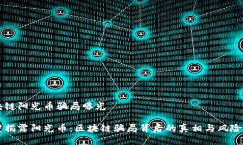 区块链阳光币骗局曝光

深度揭露阳光币：区块链骗局背后的真相与风险警示