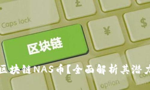 什么是区块链NAS币？全面解析其潜力与未来