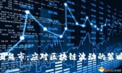 探索币圈熊市：应对区块链波动的策略与建议