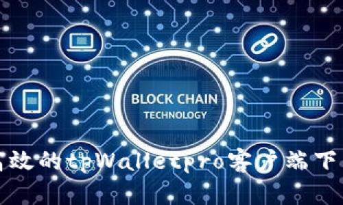 安全高效的tpWalletpro客户端下载指南