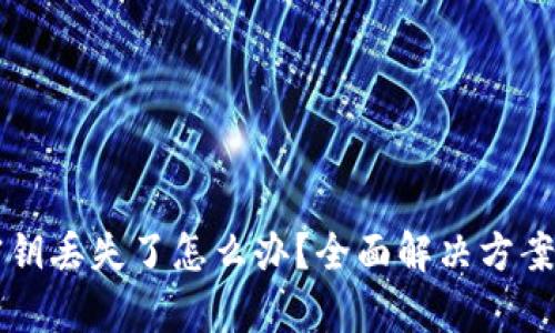 tpWallet密钥丢失了怎么办？全面解决方案与使用技巧