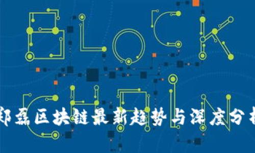 郑磊区块链最新趋势与深度分析