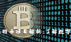 区块链与比特币项目解析：了解数字货币的未来