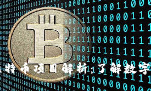 区块链与比特币项目解析：了解数字货币的未来