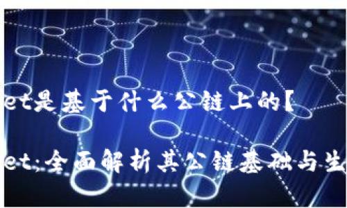 TPWallet是基于什么公链上的？

TPWallet：全面解析其公链基础与生态前景