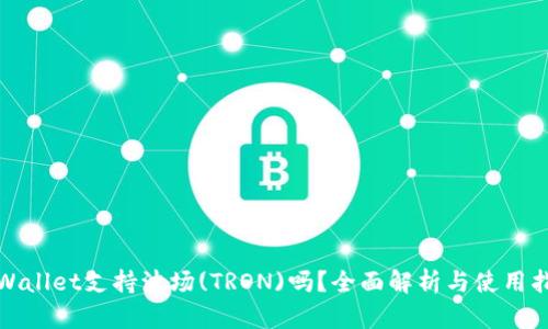 tpWallet支持波场(TRON)吗？全面解析与使用指南